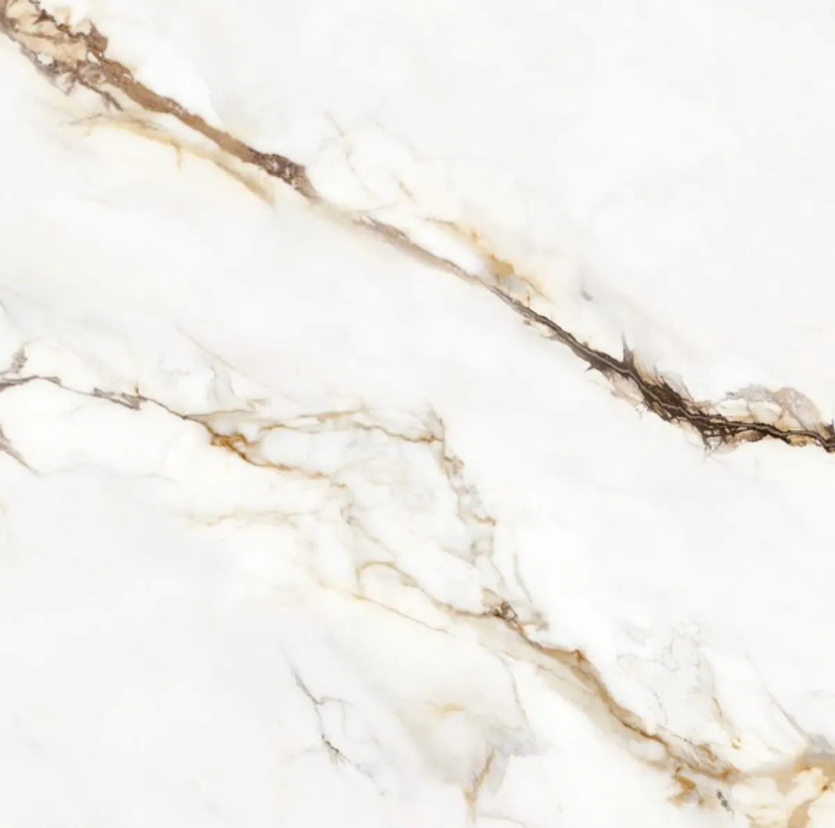 TC P2409 Venezia Gold